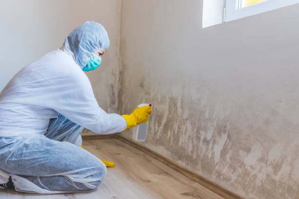 Mold inspector in Somerset performing thermal imaging